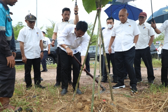 Kepala BP Batam Tinjau Pertumbuhan Pohon Kayu Jati Emas