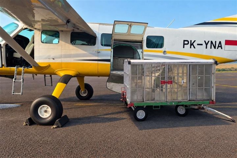 Jaga Ketersediaan Air Baku Batam, BP Batam Siapkan Operasi Modifikasi Cuaca