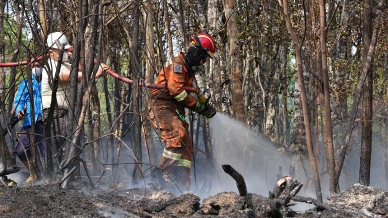 Tinjau Kebakaran Hutan, Ariastuty Imbau Masyarakat Waspadai Setiap Tindakan